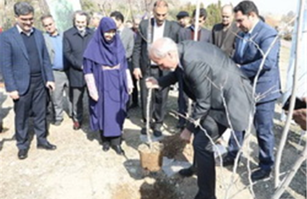 http://eghtesadmihan.ir/Content/LargSize/1403/12/15/IMG638768001358215660.jpg