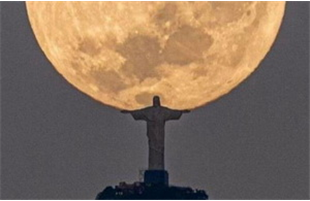 عکاس برزیلی بعد از سه سال موفق به ثبت این عکس بی‌نظیر شد+ تصویر