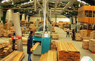 راه اندازی اولین کارگاه پالت چوبی در استان بوشهر/ ایجاد ۷۵۰ طرح اشتغالزایی در ۵ شهرستان بوشهر