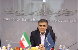 عرضه ارز هلدینگ های پتروشیمی به بازار ارز تجاری از هفته آینده