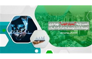 کسب رتبه «بسیار خوب» بهره وری توسط بانک توسعه صادرات ایران