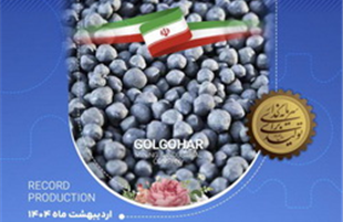 رکورد تولید کارخانه گندله‌سازی شماره ۲ شرکت معدنی و صنعتی گل‌گهر