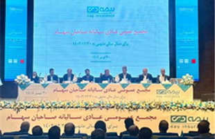 پرداخت سود نقدی سهامداران حقیقی بیمه دی تنها ۸ روز پس از مجمع