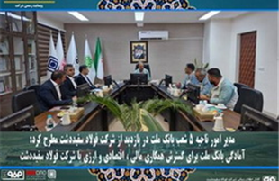 آمادگی بانک ملت برای گسترش همکاری مالی ، اقتصادی و ارزی با شرکت فولاد سفیددشت
