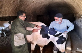 برگزاری نخستین رویداد ملی «دام‌یار» با حضور گروه های جهادی دامپزشکی سراسر کشور