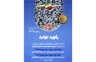 «کگل» نیمه دوم سال ۱۴۰۴ را پرقدرت آغاز کرد