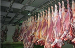 گوشت قرمز در آستانه میلیونی شدن/ ترخیص‌گوشت‌های یک‌ساله با اوج‌گیری قیمت‌ها!